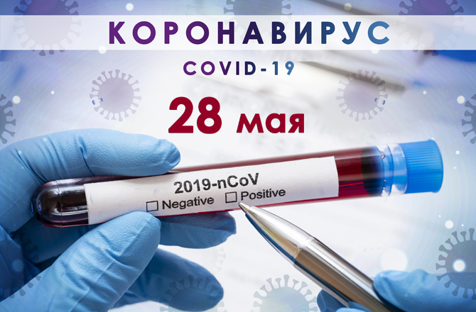 Коронавирус в Вольске сегодня 28 мая
