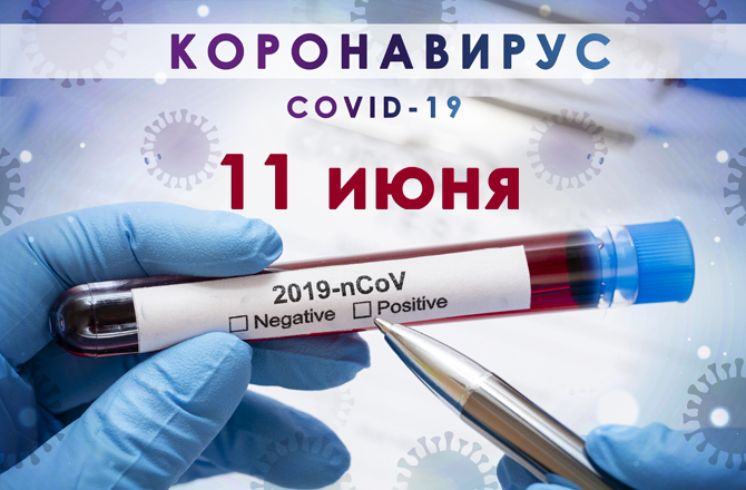 Коронавирус в Вольске сегодня 11 июня