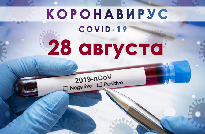 Коронавирус в Вольске сегодня 28 августа