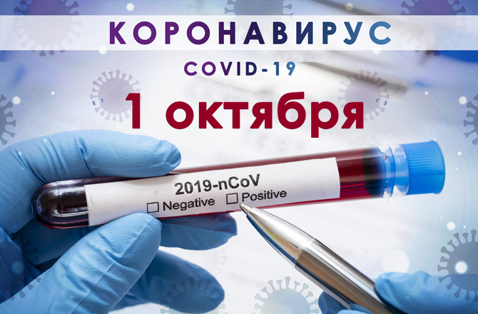 Коронавирус в Красноярске сегодня 1 октября