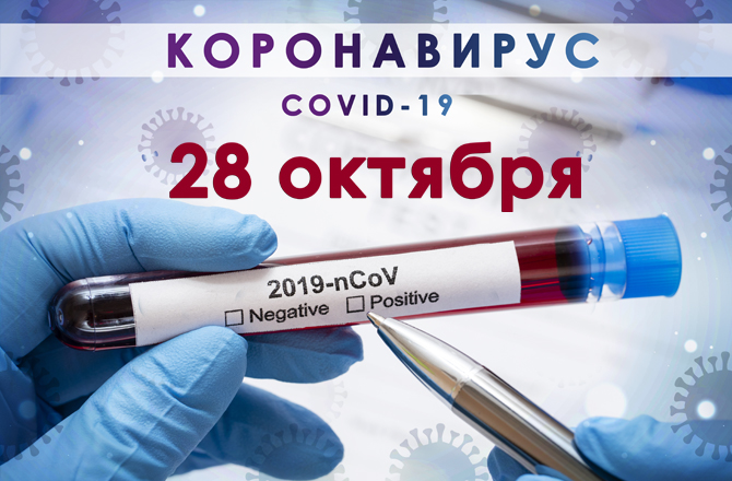 Коронавирус в Вольске сегодня 28 октября
